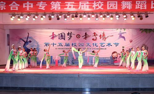 舞動精彩，炫出自我——記第十五屆校園文化藝術(shù)節(jié)舞蹈比賽決賽
